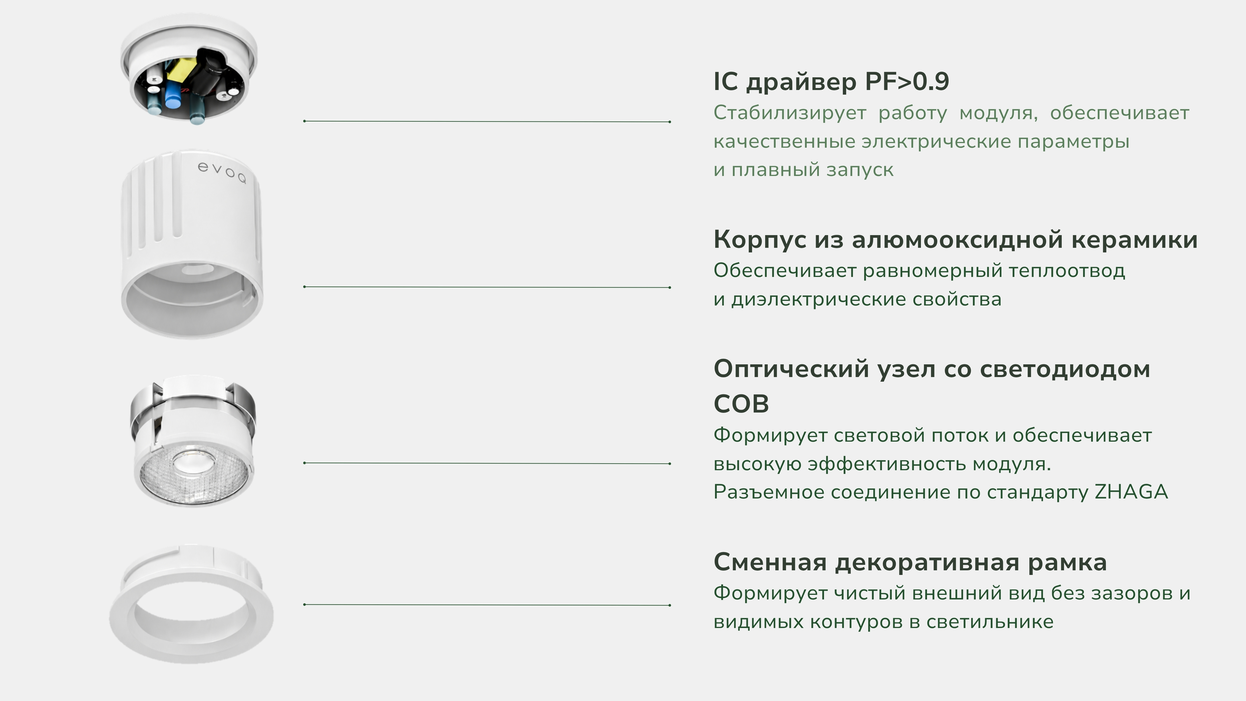 RAY ООО 